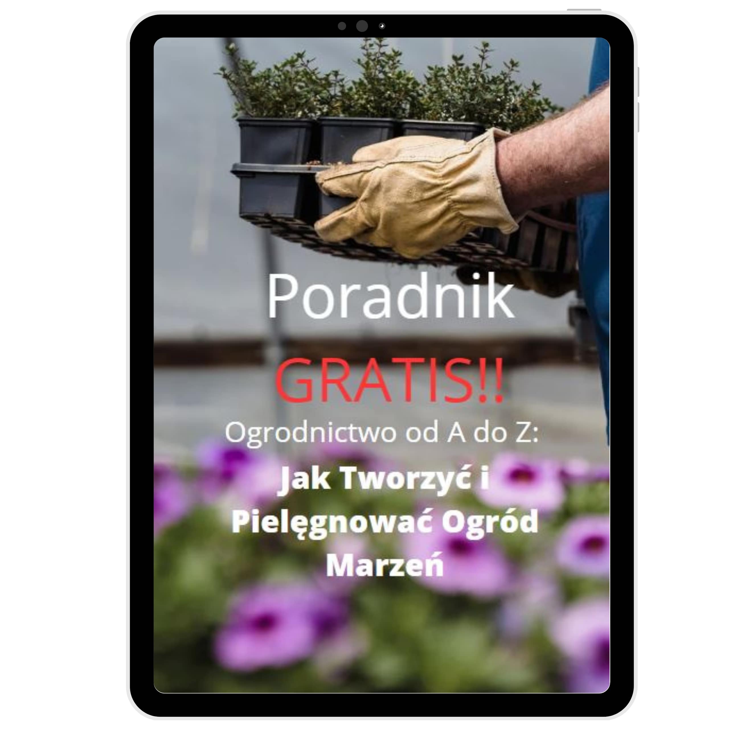 Skrzynia warzywniak w ogrodzie